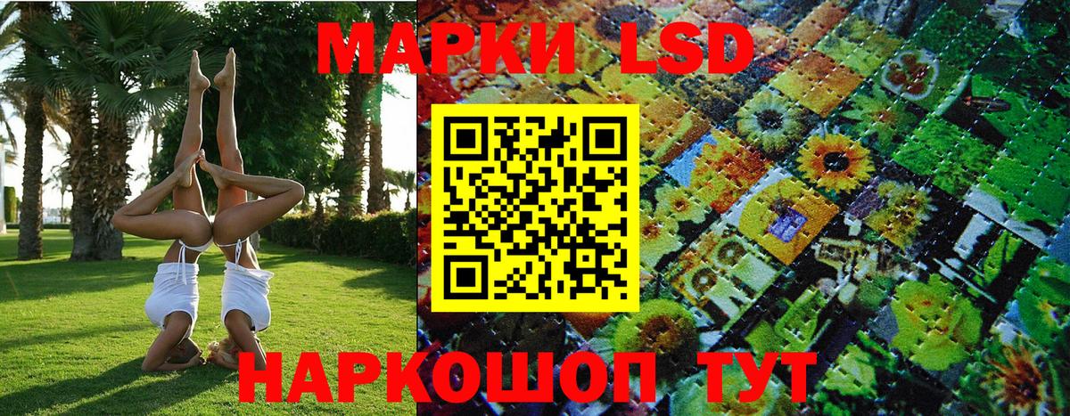 Меф Кандалакша