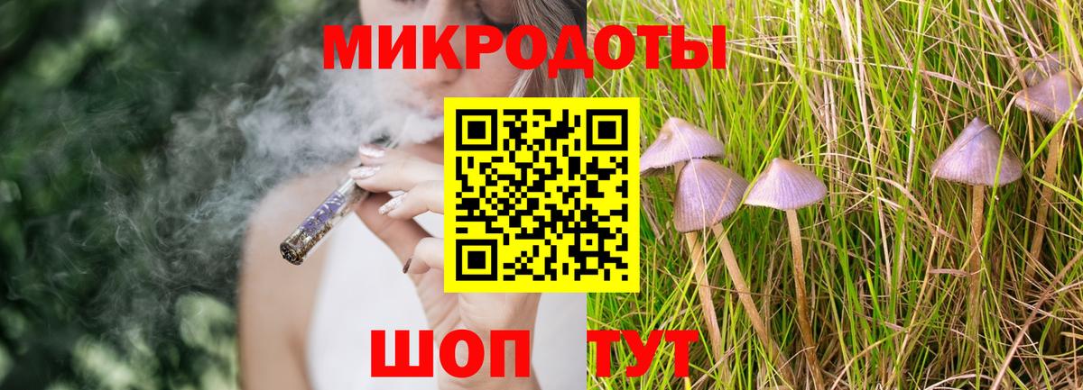 Галлюциногенные грибы прущие грибы  Вход с VPN  Кандалакша 